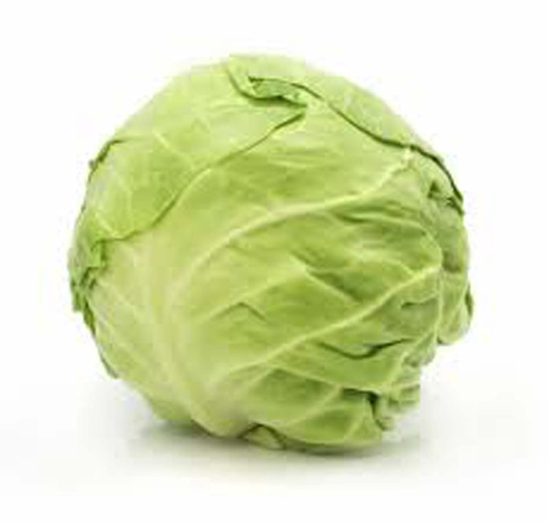 00000000004069