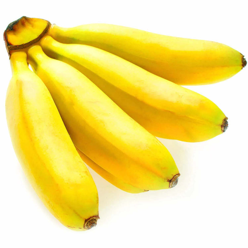 00000000004111