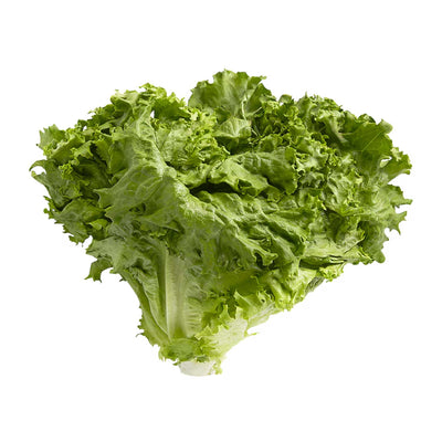 00020407600000