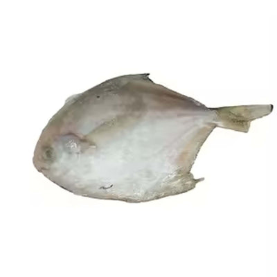sku:82751000055