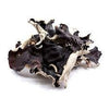 DRIED BLACK FUNGUS 50G