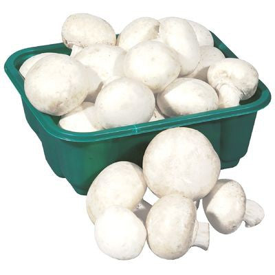 ORGANIC MUSHROOM 227G 1 ea