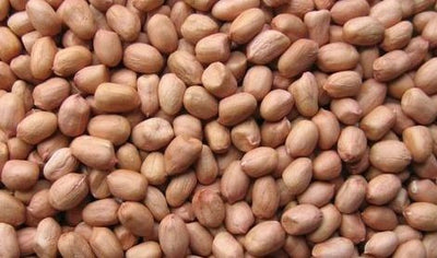 RAVI 60/70 SPANISH STYLE PEANU 800 g