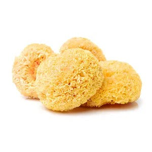 DRIED SNOW FUNGUS 120G