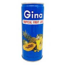 GINA TROPICAL FRUIT JUICE 240M 240 ML