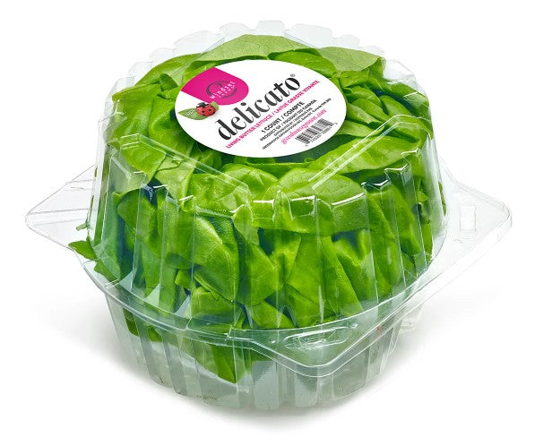 Delicato Fresh Organic Lettuce, 1 ct