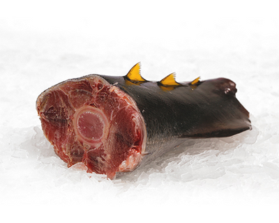 Marine Line Tuna Tail, 1 ct