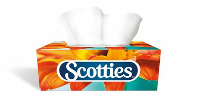 SCOTTIES 1 ea