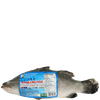 Searay Foods Inc. Whole Barramundi, 1 ct