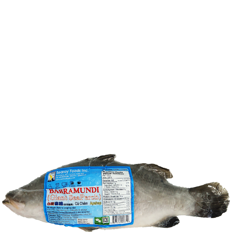 Searay Foods Inc. Whole Barramundi, 1 ct