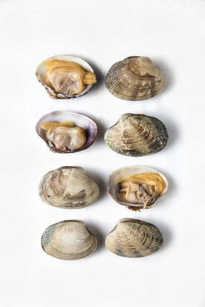 M.C COOKED CLAM 908G