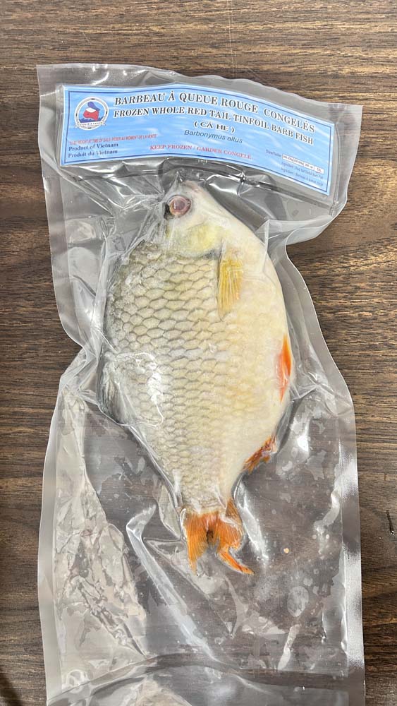 Captain's Choice Frozen Whole Red Tail Tinfoil Barb Fish, 1 ct