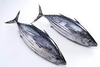 C.C SKIPJACK TUNA 1 kg