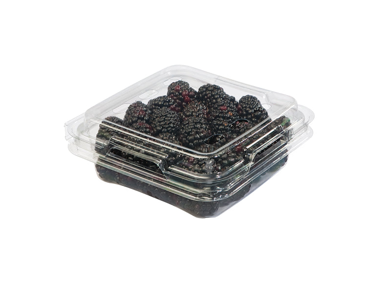 Blackberries, 1 ct